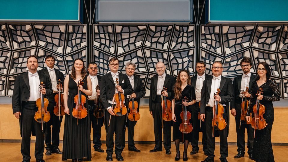 SOČR – Violy